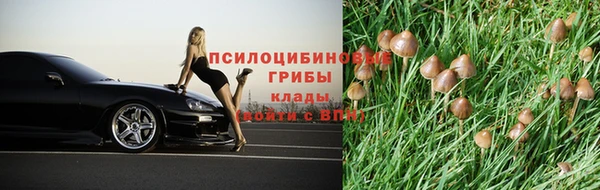 2c-b Михайловка