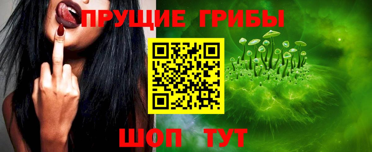 Галлюциногенные грибы MAGIC MUSHROOMS  Псилоцибиновые грибы мицелий  Кемерово  Вход с VPN 